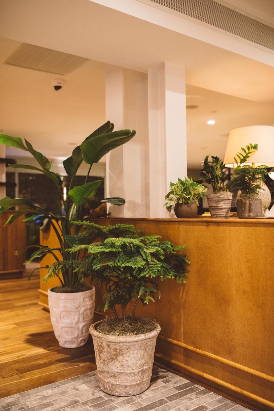 Hotel Emeline Чарлстън Екстериор снимка