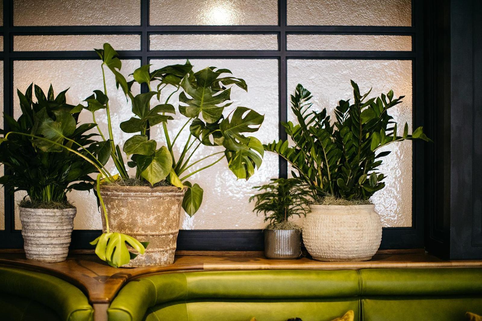 Hotel Emeline Чарлстън Екстериор снимка